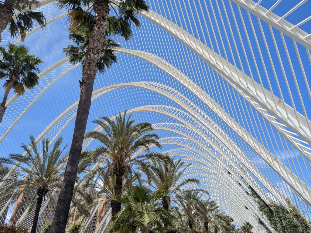 L'Umbracle Architektur in Valencia Struktur der L'Umbracle in Valencia mit Palmen und modernem Design